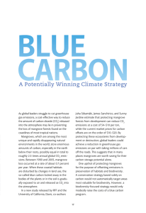 BLuE CARBON A Potentially Winning Climate Strategy