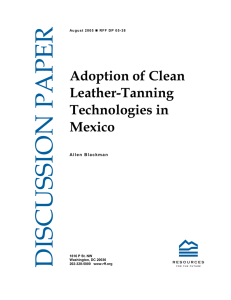 DISCUSSION PAPER Adoption of Clean Leather-Tanning