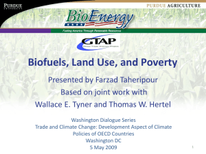 Biofuels, Land Use, and Poverty Presented by Farzad Taheripour