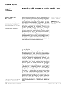 research papers Crystallographic analysis of Bacillus subtilis CsaA
