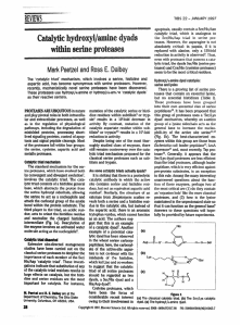 The  ‘catalytic  triad’  mechanism,  which ... aspartic  acid,  has  become  synonymous ...