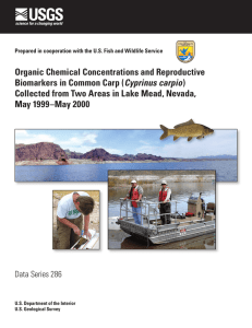 Organic Chemical Concentrations and Reproductive Cyprinus carpio