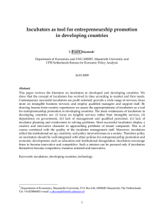 Incubators as tool for entrepreneurship promotion in developing countries