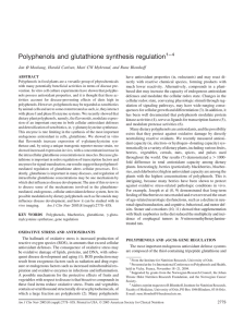 Polyphenols and glutathione synthesis regulation 1– 4