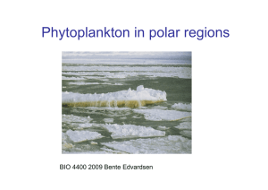 Phytoplankton in polar regions BIO 4400 2009 Bente Edvardsen