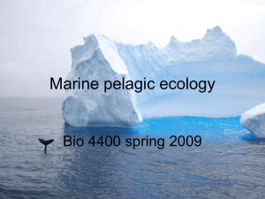 Marine pelagic ecology Bio 4400 spring 2009