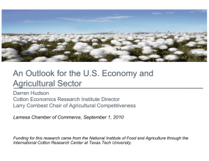 An Outlook for the U.S. Economy and Agricultural Sector