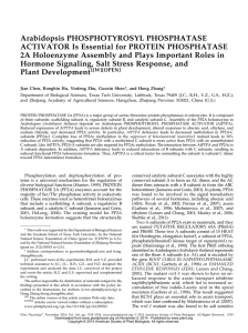 Arabidopsis PHOSPHOTYROSYL PHOSPHATASE ACTIVATOR Is Essential for PROTEIN PHOSPHATASE