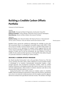 Building a Credible Carbon Offsets Portfolio