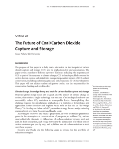 The Future of Coal/Carbon Dioxide Capture and Storage Section VII background