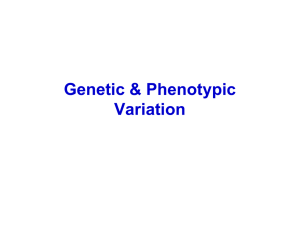 Genetic &amp; Phenotypic Variation