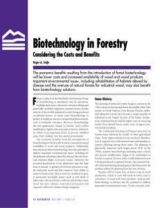 Biotechnology in Forestry Considering the Costs and Benefits