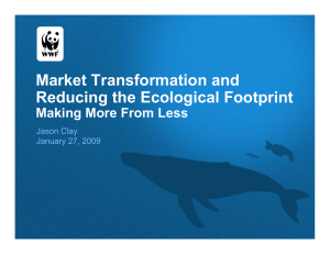 Market Transformation and Reducing the Ecological Footprint Making More From Less Jason Clay