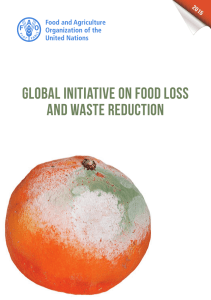 Global InItIatIve on Food loss and Waste ReductIon 2015