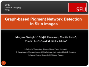 Graph-based Pigment Network Detection in Skin Images Maryam Sadeghi , Majid Razmara