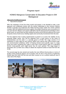 Progress report  HONKO Mangrove Conservation &amp; Education Project in SW Madagascar