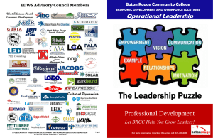 The Leadership Puzzle Professional Development Operational Leadership