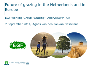 Future of grazing in the Netherlands and in Europe