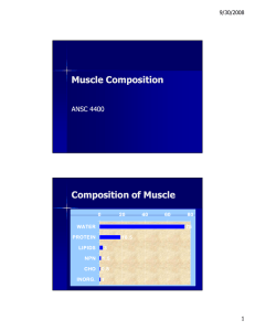 M scle Composition Muscle Composition Composition of Muscle