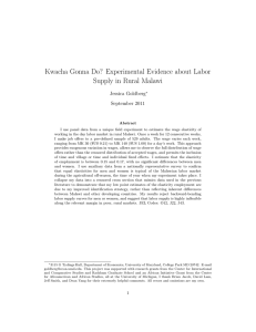 Kwacha Gonna Do? Experimental Evidence about Labor Supply in Rural Malawi
