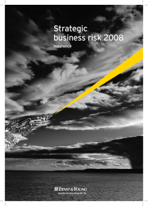 Strategic business risk 2008 Insurance