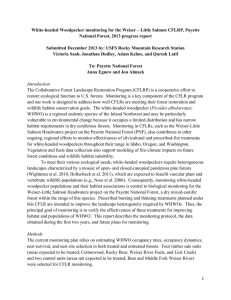 White-headed Woodpecker monitoring for the Weiser – Little Salmon CFLRP,... National Forest, 2013 progress report