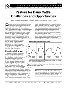 P Pasture for Dairy Cattle: Challenges and Opportunities