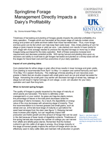 Springtime Forage Management Directly Impacts a Dairy’s Profitability