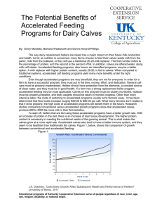 The Potential Benefits of Accelerated Feeding Programs for Dairy Calves
