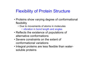 Flexibility of Protein Structure