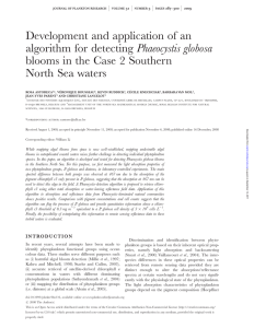 Development and application of an algorithm for detecting Phaeocystis globosa