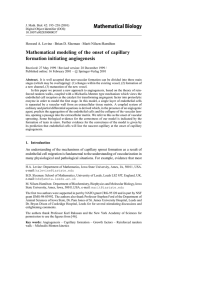 Mathematical Biology Mathematical modeling of the onset of capillary formation initiating angiogenesis