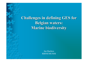 Challenges in defining GES for Belgian waters: Marine biodiversity Jan Haelters