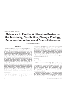 Melaleuca in Florida: A Literature Review on