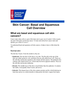Skin Cancer: Basal and Squamous Cell Overview cancers?