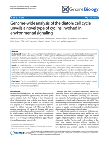 Genome-wide analysis of the diatom cell cycle environmental signaling