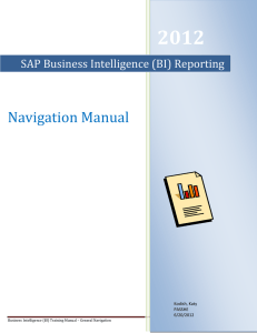2012 Navigation Manual SAP Business Intelligence (BI) Reporting
