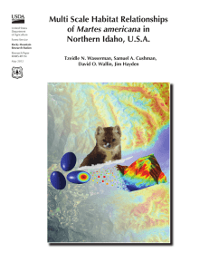 Multi Scale Habitat Relationships Martes americana Northern Idaho, U.S.A.