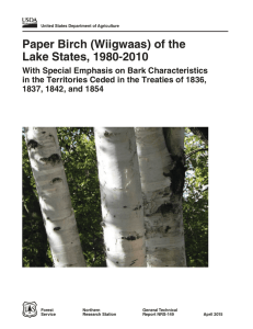 Paper Birch (Wiigwaas) of the Lake States, 1980-2010