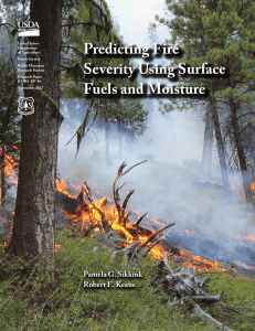 Predicting Fire Severity Using Surface