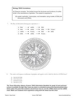 Worksheet: DNA, RNA, and Protein Synthesis