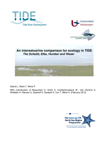 An interestuarine comparison for ecology in TIDE