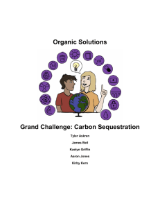 Organic Solutions Grand Challenge: Carbon Sequestration Tyler Askren James Beil