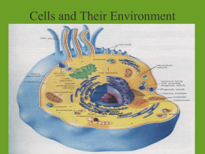 Cells and Their Environment Chapter 4 p 74-84