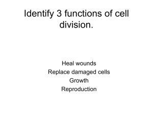 Identify 3 functions of cell division. Heal wounds Replace damaged cells