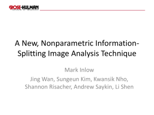A New, Nonparametric Information- Splitting Image Analysis Technique Mark Inlow