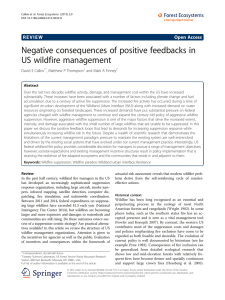 Negative consequences of positive feedbacks in US wildfire management REVI E W