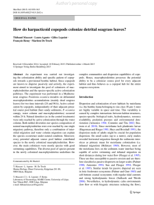 How do harpacticoid copepods colonize detrital seagrass leaves?