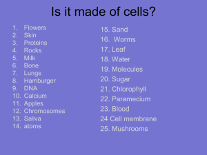Is it made of cells? 15. Sand 16.  Worms 17. Leaf
