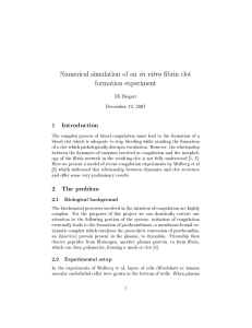 Numerical simulation of an brin clot formation experiment 1 Introduction